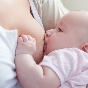 Pigeon Natural Fit Nipple Shield 4 6