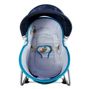 5 in 1 Rocker Bassinet 1